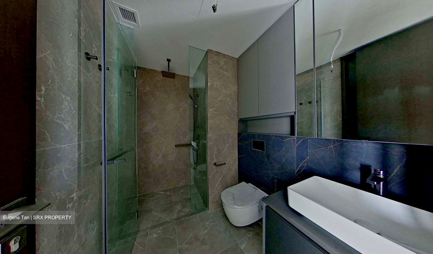 Irwell Hill Residences (D9), Apartment #621152551